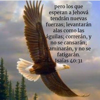 Hola, sigamos a  Jesús Como nuestro Dios, Rey  y Libertador, él es nuestro mejor amigo.Dios tiene grandes propósitos para nosotros.Busquémosle.