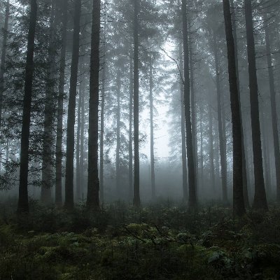 Naturaleza y libros