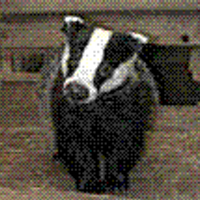 Mr Milo (@milo_brennan) 's Twitter Profile Photo