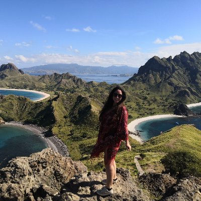 PhD student in plankton ecology and temporal dynamics at
@ScienceSorbonne | @SBRoscoff | ECOMAP team @phytopk
Data analyst & Ocean lover