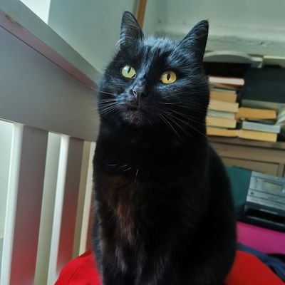 JacJevans's profile picture. 