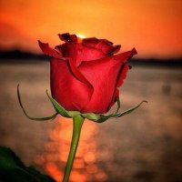 Clare (@clare72569905) 's Twitter Profile