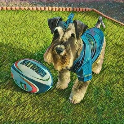 🏉🏉Rugby Chat With A Local Feel & Global Reach🏉🏉


BOD says join him every week for his online Rugby, Sports & Lifestyle chat shows 😎🐾💙