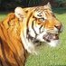 英語勉強ノート(In Search of Lost Phonological Loop) (@zlbbnrk6jcss5s9) Twitter profile photo 英語勉強ノート(In Search of Lost Phonological Loop) (@zlbbnrk6jcss5s9) Twitter profile photo