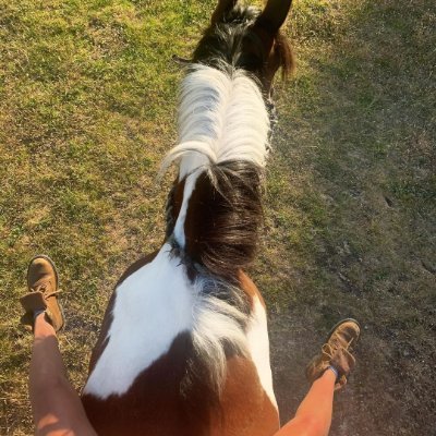 Lauren22588880's profile picture. 🍑 OFFICIAL ACCOUNT - IG Babe turned OnlyFans Creator 7.54%
😈 DM for FREE private pics