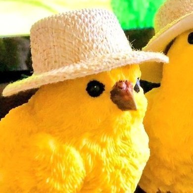 ポミエさんのプロフィール画像
