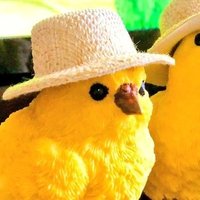 ポミエ (@pommier1484) 's Twitter Profile Photo ポミエ (@pommier1484) 's Twitter Profile Photo