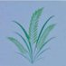 Country Life Stores (@stores_country) Twitter profile photo Country Life Stores (@stores_country) Twitter profile photo