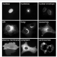Yongrong LIAO (@yongrongl) 's Twitter Profile