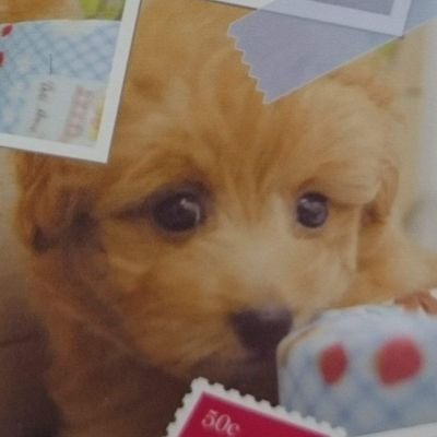 成熟した市民社会をともに作っていきましょう。