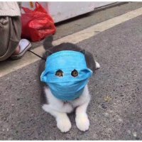 Danying Wang (@wangdanying) 's Twitter Profile