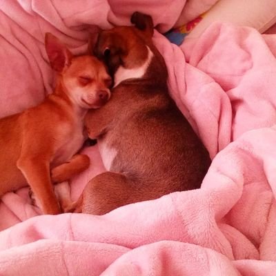 Christi82851373's profile picture. nadie