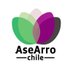 🅰️sexuales & 🅰️rromántiques Chile (@asearrochile) Twitter profile photo 🅰️sexuales & 🅰️rromántiques Chile (@asearrochile) Twitter profile photo