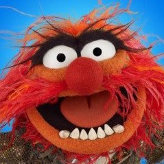 eelwhites's profile picture. Australian lost in London & Munich. Fulham season ticket holder, long suffering Eels fan and cricket tragic. Channel swimmer. Proud father to a wonderful girl.