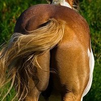 Flickit (@flickmie) 's Twitter Profile