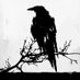 Perverso d20 (@perversod20) Twitter profile photo Perverso d20 (@perversod20) Twitter profile photo