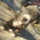 Fátima Balanzar - @balanzar_fatima - Twitter