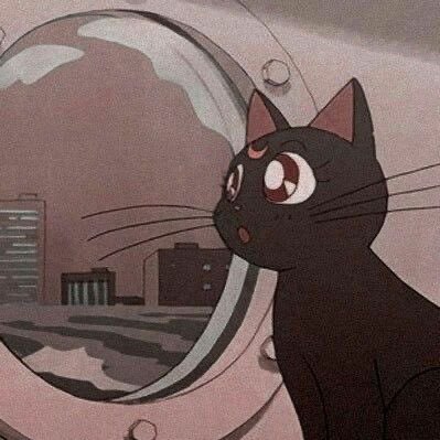 ま いさんのプロフィール画像