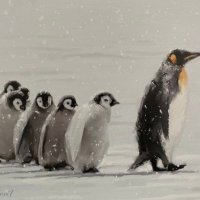 Anwar Khan (@anwarkhan_wf) 's Twitter Profile