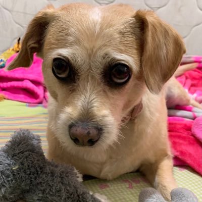 acano52's profile picture. DJ por sobre todo. Eterno enamorado de los animales.