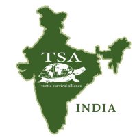 Turtle Survival Alliance INDIA(@TSAINDIAPROG) 's Twitter Profile Photo