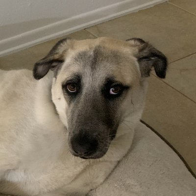 SlymeBurner's profile picture. burner acc for @slymefn