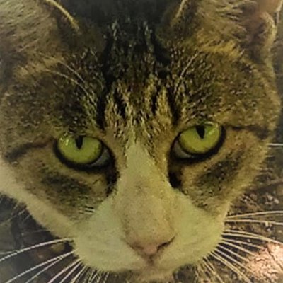 サブ「https://t.co/Ee29j4QOzo」
ゲーム動画上げてます見てくれると嬉しい
パズドラ 11/22~12/6 幽遊白書コラボ
ツイッター2021 1/13始動6
ここはどこ YoutubeチャンネルURL⇩