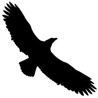 Ealing Eagles(@ealingeagles) 's Twitter Profile Photo