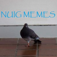 NUIG Memes (@nuigmemes) 's Twitter Profile Photo NUIG Memes (@nuigmemes) 's Twitter Profile Photo