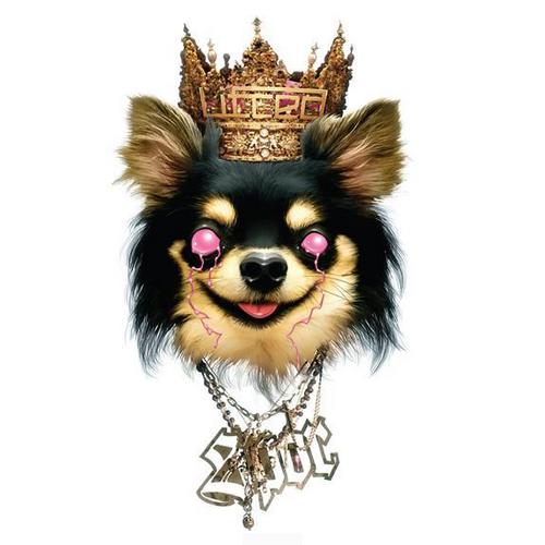 Geek_RX's profile picture. Geek Pharmacy Cry Stave
В SEO деньги есть, а я их примагничиваю