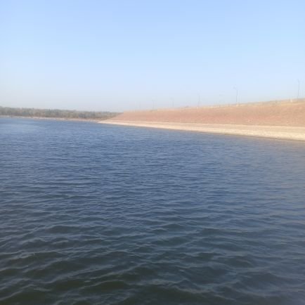 ronojoy81's profile picture. Learning, Enjoying and Loving it.