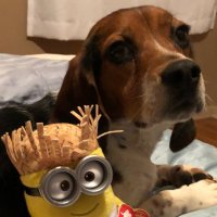 NetnRumbler (@netrumbler) 's Twitter Profile