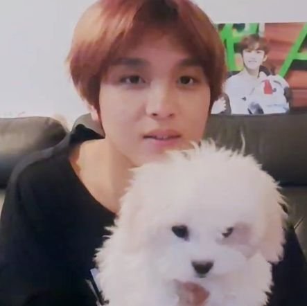 heydreamies's profile picture. syuttt