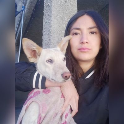 En un mundo de verbos, yo soy 'procrastinar'.
1 % maldad, 99 % aire caliente.