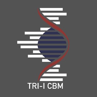 Tri-I CBM Profile