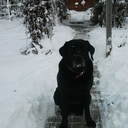 roger flint - @rgflint - Twitter