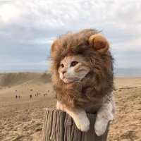 Amirkhan (@amiryaars) 's Twitter Profile