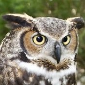 realBrianLaw's profile picture. Returned From The Dead