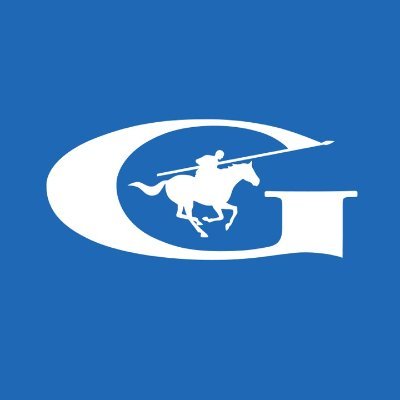 @guardianglass