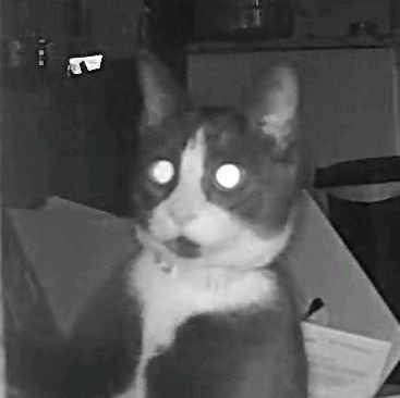 weirdpaperroute's profile picture. hey