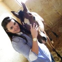 Elissa Wagner Telles - @elissatelles - Twitter