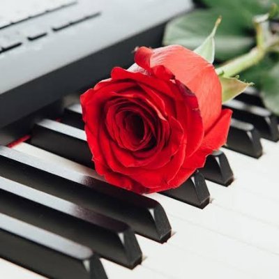 SandraLao3's profile picture. 