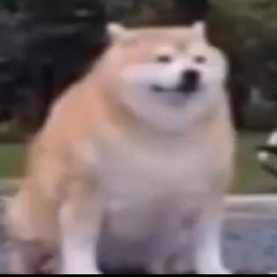 brangdonL's profile picture. 