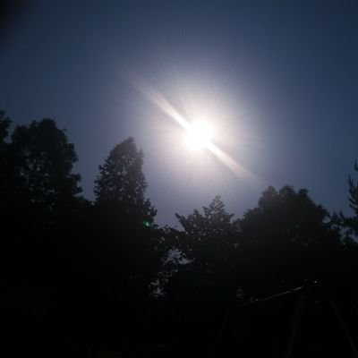 nOTpQqVbQ82fgcs's profile picture. 