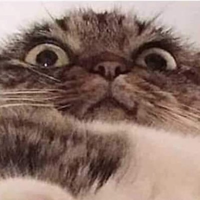 Trkymenistan's profile picture. Baseball ⚾️ l i love cats
Hebrews 13:5-6