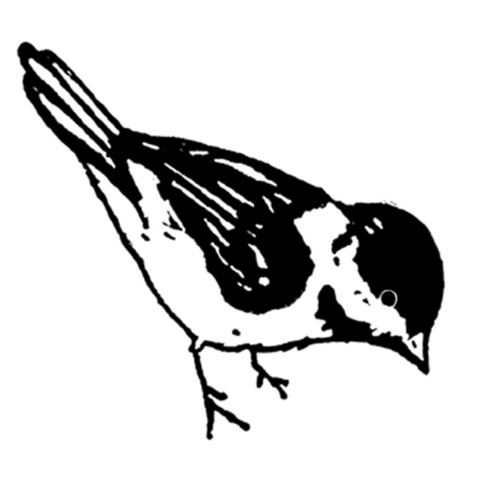 pantyland's profile picture. a diary of intimate garments sourced from a small boutique