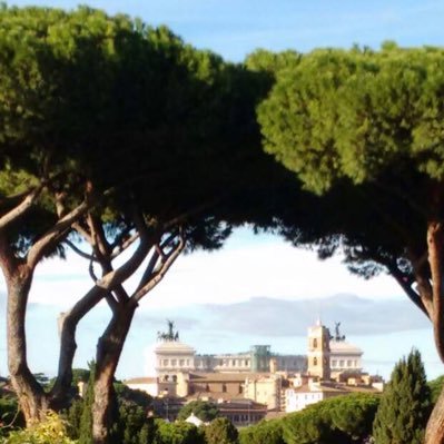 unbeldivedro's profile picture. trovo oramai l’ambiente di questo social troppo tossico e poco utile.