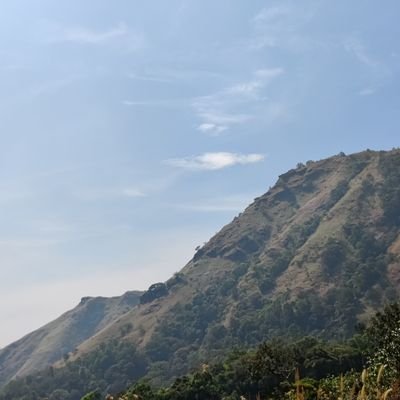 RajKotian's profile picture. 