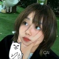 Cat (@catsynx) 's Twitter Profile