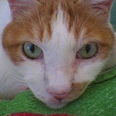 tsuchiyanao1's profile picture. 2021にリセット🐭😉👍🎶